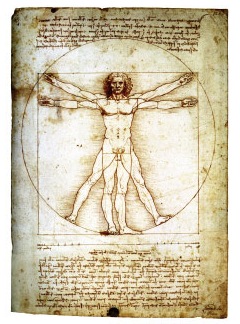 Da Vinci man